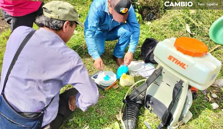 Gobierno de Huauchinango imparte talleres de fungicida a productores de Huilacapixtla
