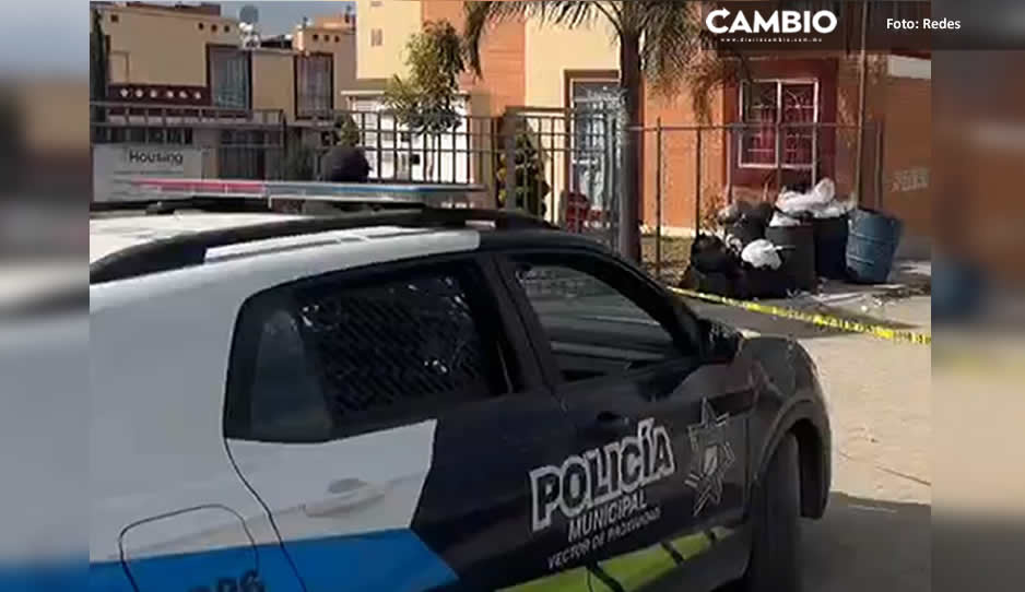 ¡Terrible! Hallan feto en la basura en Misiones de San José (VIDEO)