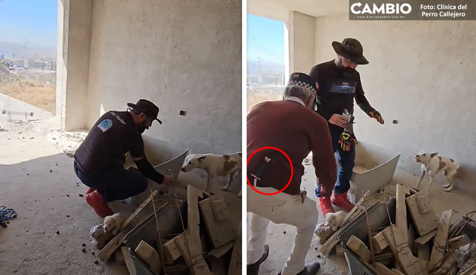 ¡Qué susto! Durante rescate de perrita, intentan atacar a dueño de la Clínica del Perro Callejero (VIDEO)