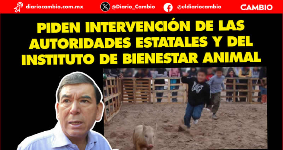 Asociaciones protectoras de animales señalan a Pedro Tepole por permitir actos de maltrato