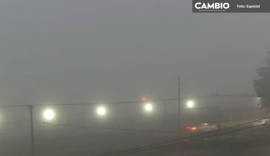 Suspenden vuelos en AICM y AIFA por denso banco de niebla (VIDEO)