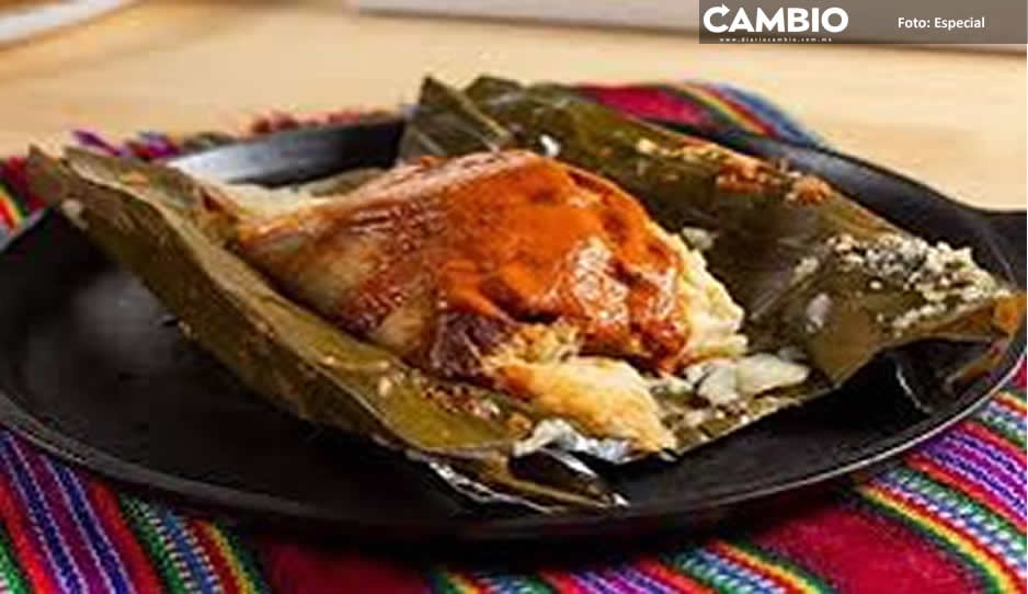 Policía de Zapopan desmiente que Doña Esther vendía tamales de carne humana
