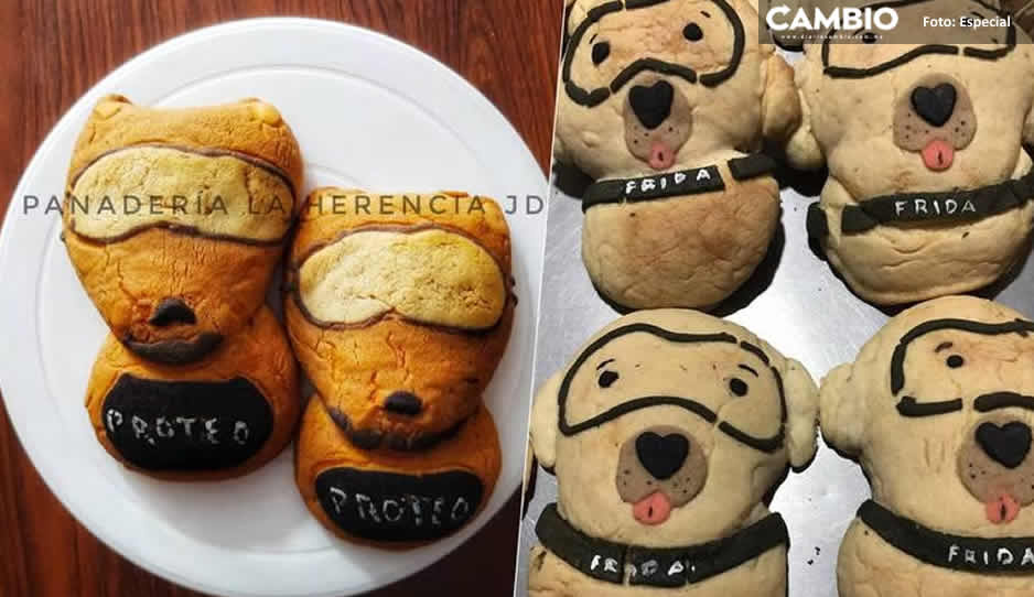 ¡Los amamos Proteo y Frida! Panadería en Puebla hace conchas en forma de perros rescatistas
