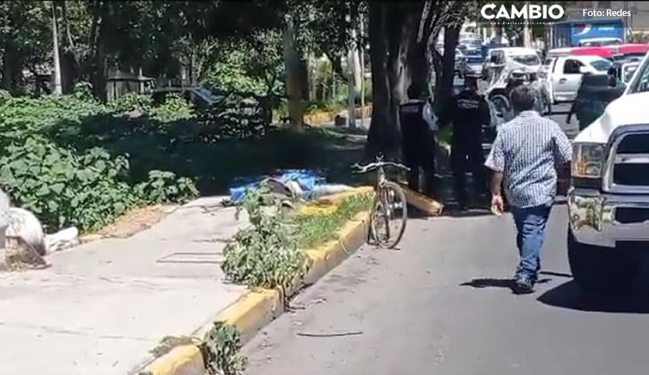 IMAGEN SENSIBLE: Atropellan y matan a otro ciclista en el Puente de México