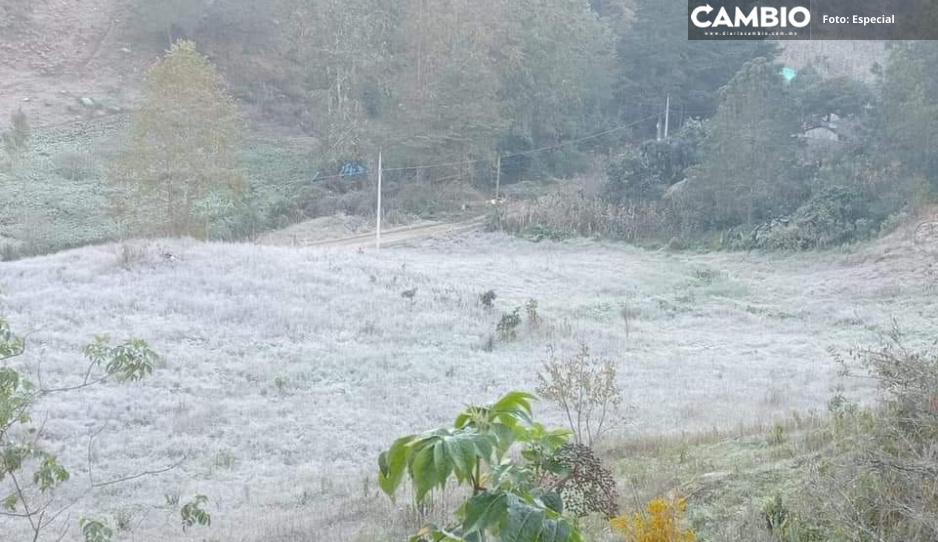 Tras bajas temperaturas, solicitan que se habiliten refugios temporales en la Sierra Negra