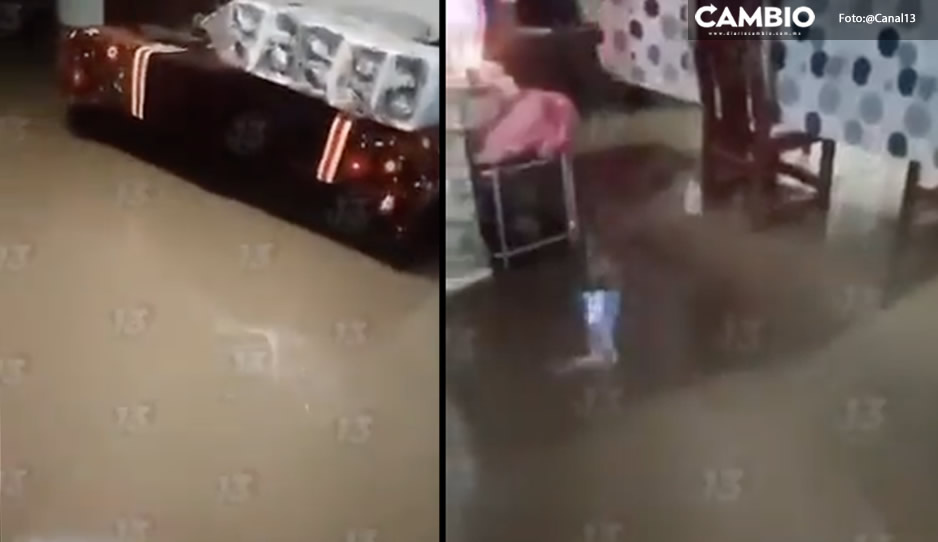 Colonos &#039;nadan&#039; entre las aguas negras en Bosques de Amalucan (VIDEO)