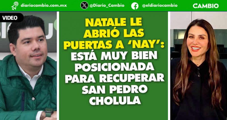 Partido Verde ve con buenos ojos el Regreso de Nay Salvatori: Jaime Natale