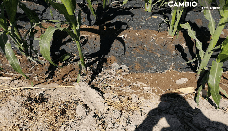 Tehuacán no tiene sistema para tratamiento de aguas residuales, acusa Igavim