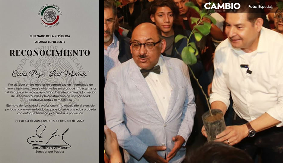 El chayo a Lord Molécula: un diploma firmado por Armenta por repartir arbolitos