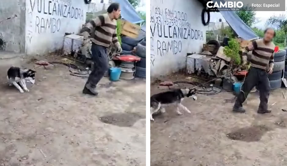 FUERTE FOTO: Talachero golpea brutalmente a perrito en Atempan