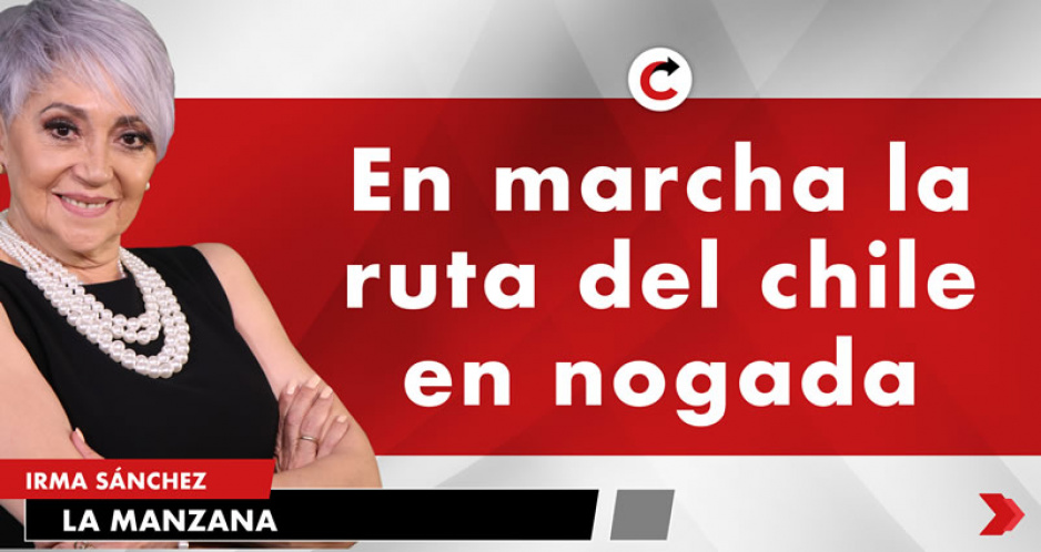 En marcha la ruta del chile en nogada
