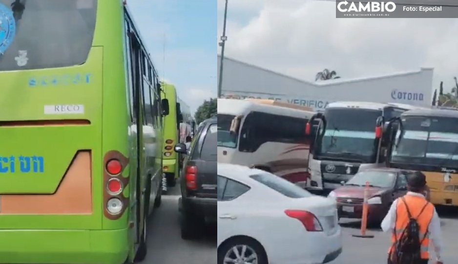 Julio Huerta llena mitin de Sheinbaum en Izúcar…con acarreados de CDMX (VIDEOS)