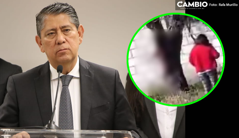 Identifican al responsable de ahorcar a Chocolata, pero no hay detenidos, revela Fiscalía (VIDEO)