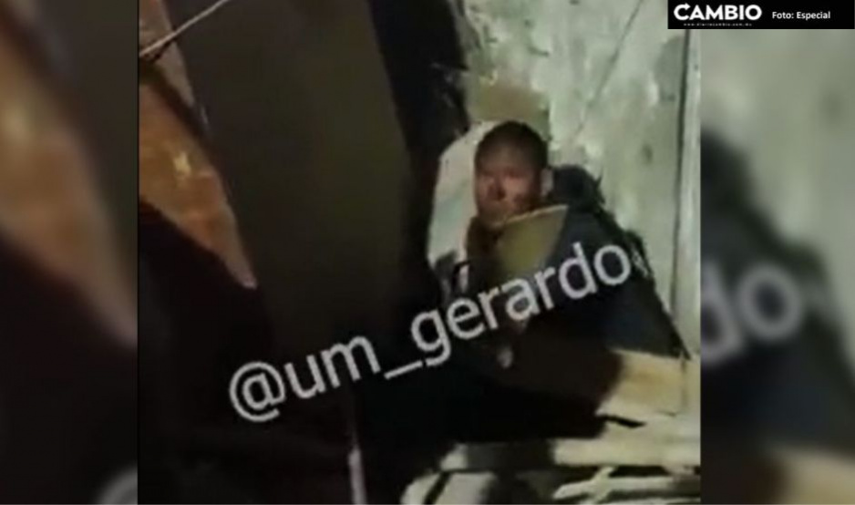 FUERTE VIDEO: Indigente se come a perrito callejero en Guanajuato