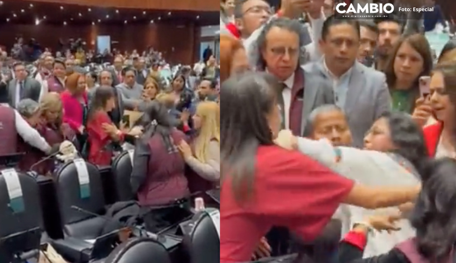 Zafarrancho en la Cámara de Diputados: agreden a Inés Parra durante discusión del PEF 2024 (VIDEO)