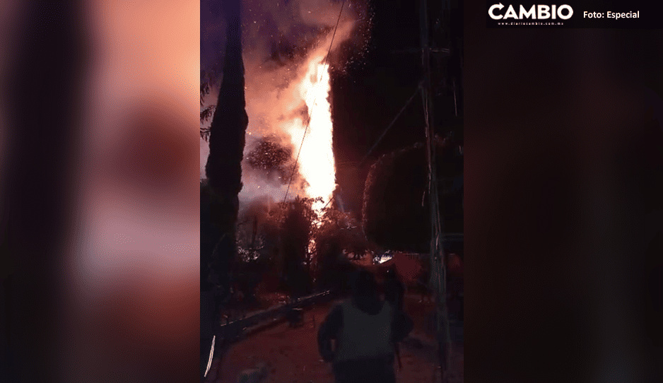 Pirotecnia incendia pino durante festejos guadalupanos en Atlixco