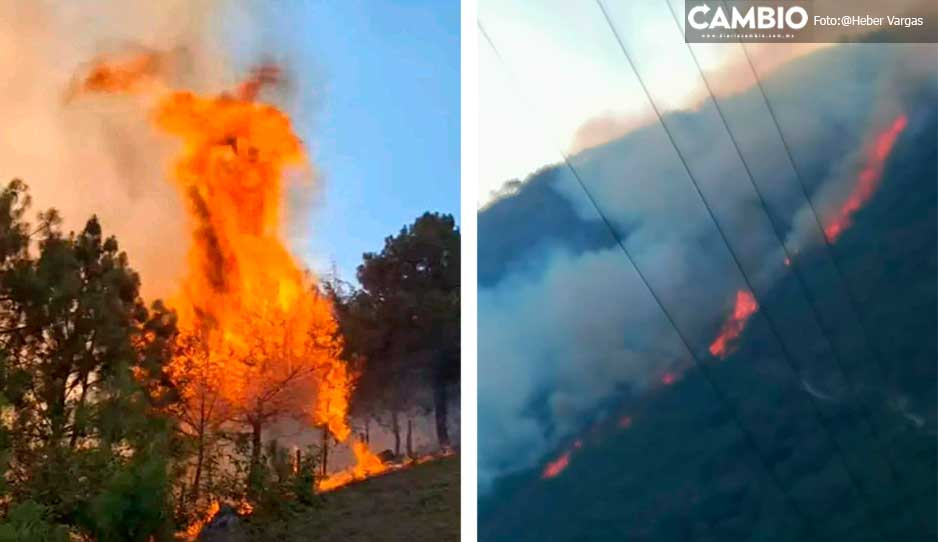 ¡Desesperación en Coyomeapan! Incontrolable incendio lleva días asolando el municipio