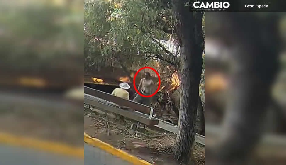 ¡Salió de la nada! Indigente sorprende a abuelito y le da tremenda golpiza (VIDEO)
