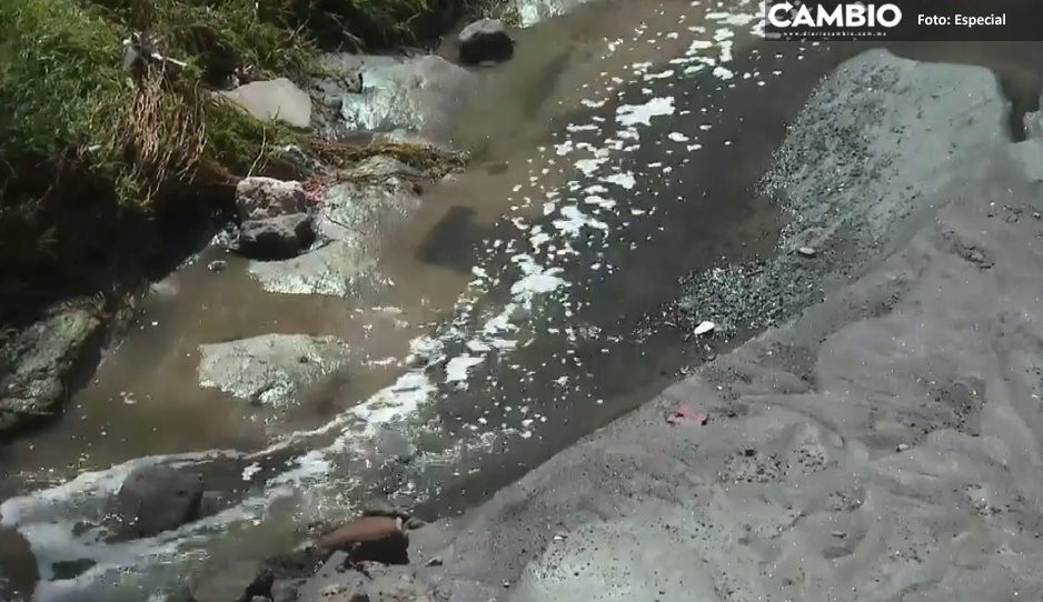 ¿Ritual satánico? Hallan 4 chivos muertos en el Río Rabanillo (FOTO)