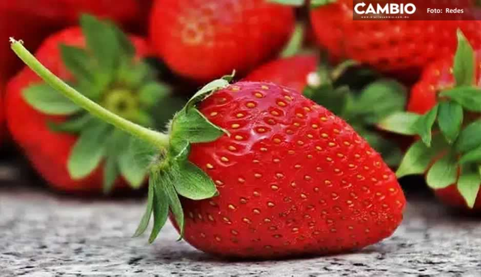 ¡Atención consumidor! Alertan de fresas contaminadas con Hepatitis en Costco