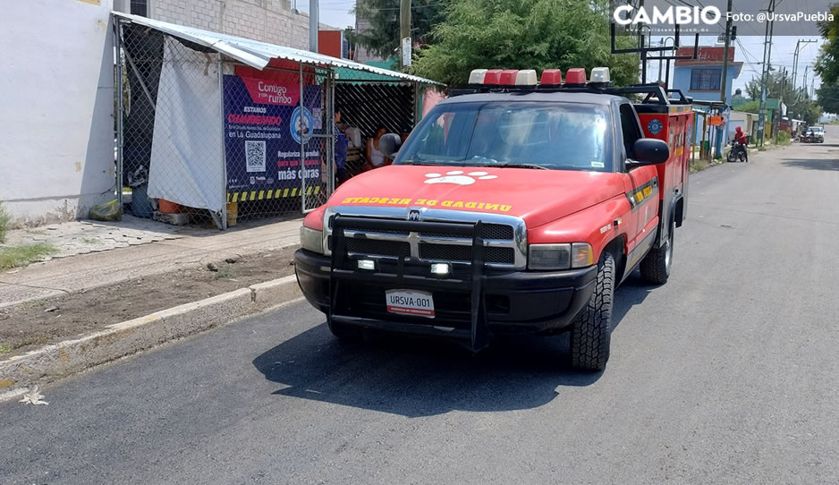 IMAGEN SENSIBLE: Deja gravemente herida a perrita tras aventarle un cuete en la Guadalupana