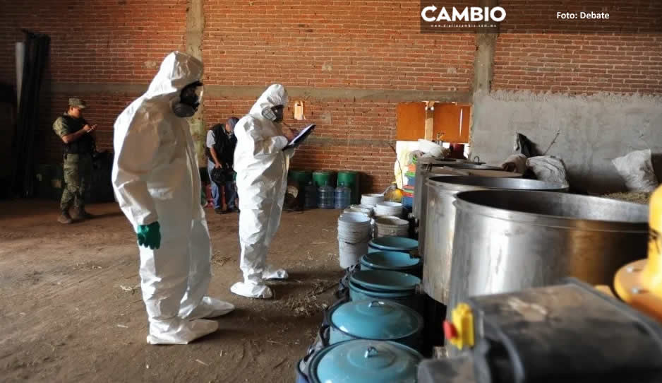 ¿Chapitos canadienses? Narcolaboratorios de fentanilo se extienden por Canadá