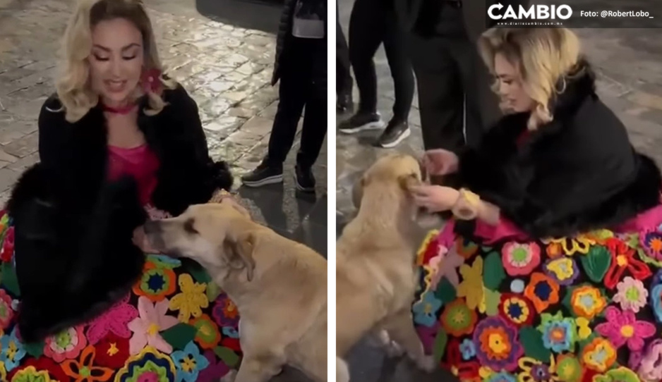 Aracely Arámbula adopta a lomito que encontró tras visitar la Basílica de Guadalupe (VIDEO)
