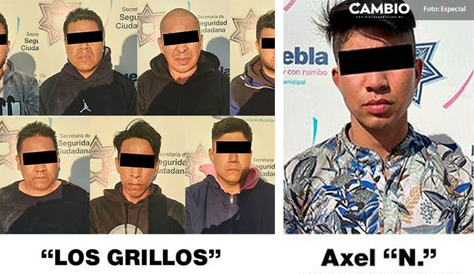 Desarticulan banda delictiva de “Los Grillos” en Puebla