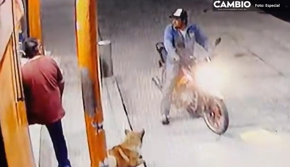 Motociclista ataca a “tabicazos” a perrito solo por ladrarle (FUERTE VIDEO)