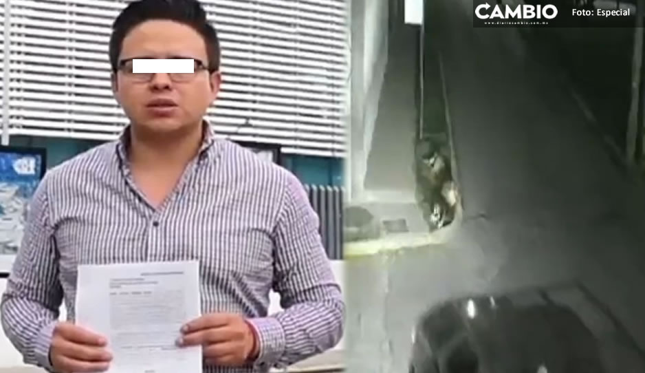 Cesar T. continúa libre luego de atropellar y matar a perrito en Cuautlancingo