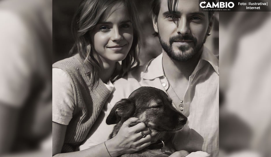 FOTO: Emma Watson enternece las redes tras adoptar perrita mexicana