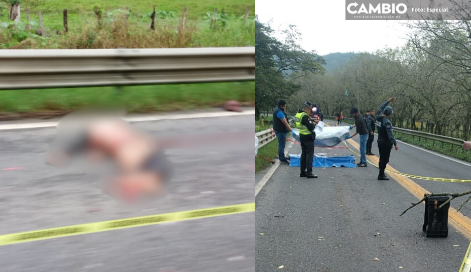 Hombre queda desmembrado tras ser atropellado en la Pachuca-Tuxpan