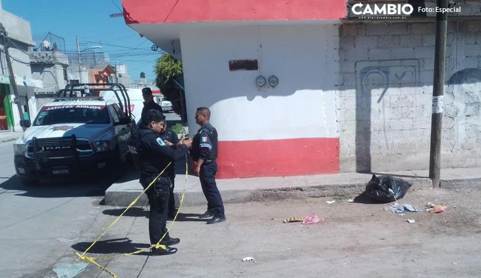 Madre sin corazón; tiran feto en bolsa de basura y lo abandonan en ...