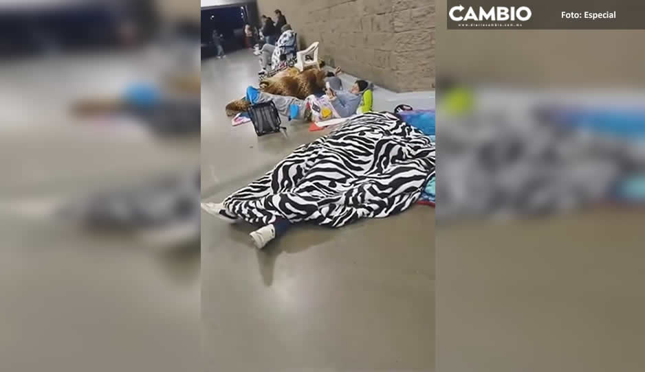 ¿Están muy ricos? Clientes acampan afuera de Costco para comprar pasteles (VIDEO)