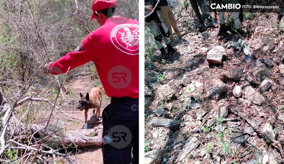 Binomio canino localiza restos humanos en Tulcingo del Valle