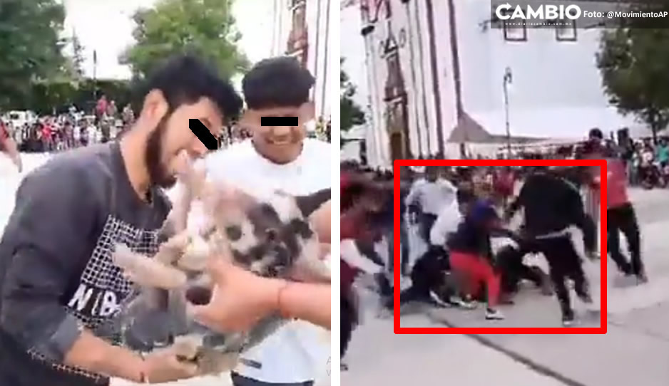 FUERTE VIDEO: Niños torturan a cerdito por un ‘juego’  y le rompen las patitas en Tecali