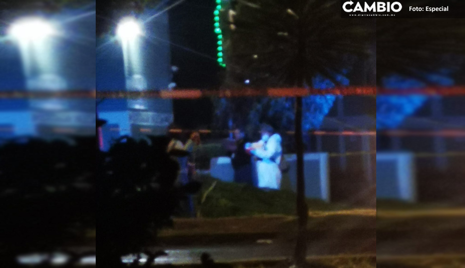 ¡Lluvia mortal! Indigente muere aplastado por un árbol en San Felipe
