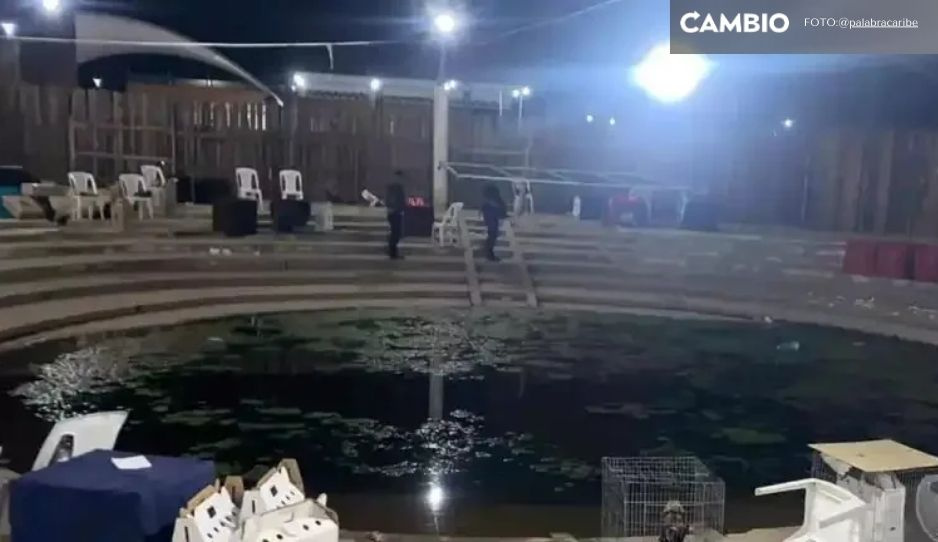 ¡Masacre en Guerrero! Ataque de comando armado en palenque de gallos deja 13 muertos