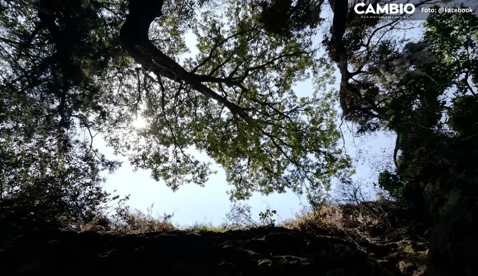 Localizan en barranca cadáver de abuelito desaparecido en Tlahuapan