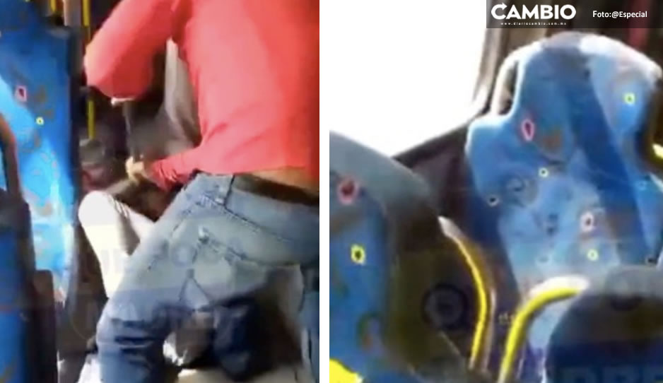 VIDEO: ¡Tremenda &#039;calentadita&#039;! Pasajeros golpean y dejan inconsciente a presunto ladrón