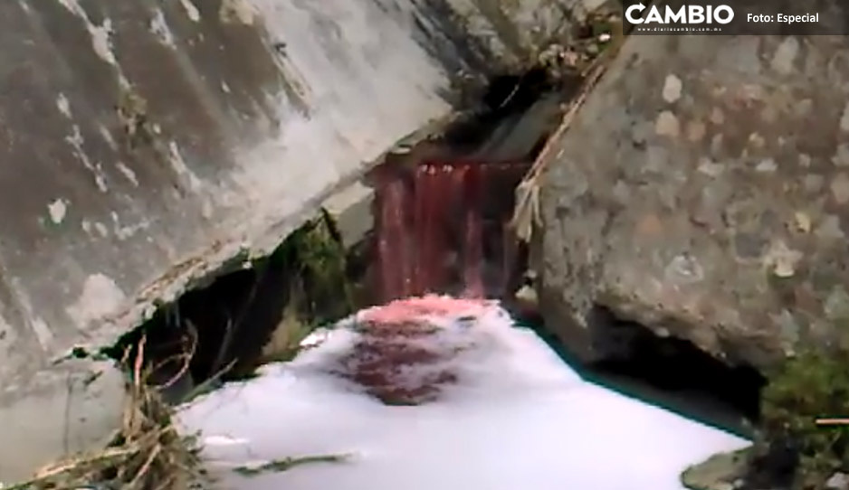 Exhiben descarga de contaminantes en el Río Alseseca (VIDEO)