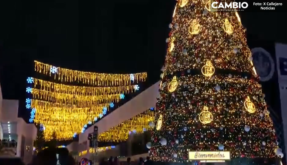 ¡Llegó la navidad a la BUAP! Realizan encendido del Árbol Navideño en CCU (VIDEO)