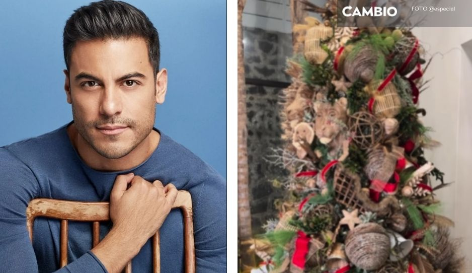 VIDEO: Carlos Rivera presume su tétrico árbol de navidad y le llueven críticas