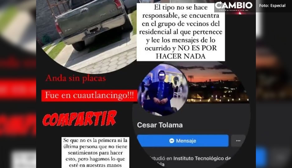 Identifican a la persona sin corazón que atropelló a tres perritos en Cuautlancingo