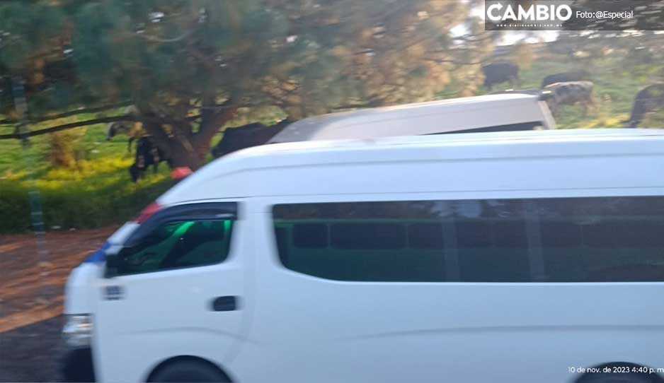 Detienen a chofer de ruta tras acosar y casi privar de la libertad a una joven en Tlahuapan