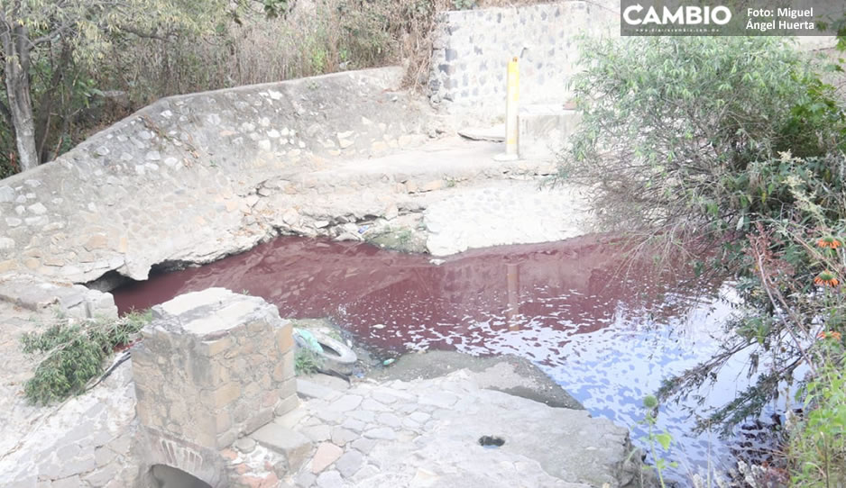 Nuevamente se registra &#039;espuma asesina&#039; en el Atoyac (VIDEO)
