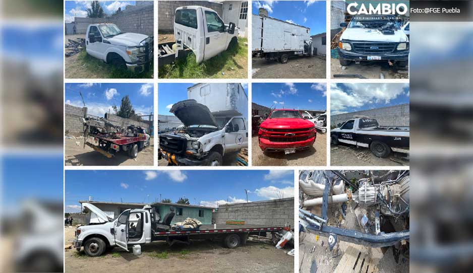FGE asegura cinco camionetas robadas y autopartes en Esperanza