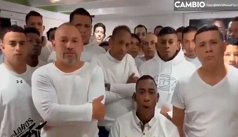 Se&ntilde;alan a banda 'Los Lobos&rsquo; del asesinato de Fernando Villavicencio; ellos se deslindan en VIDEO