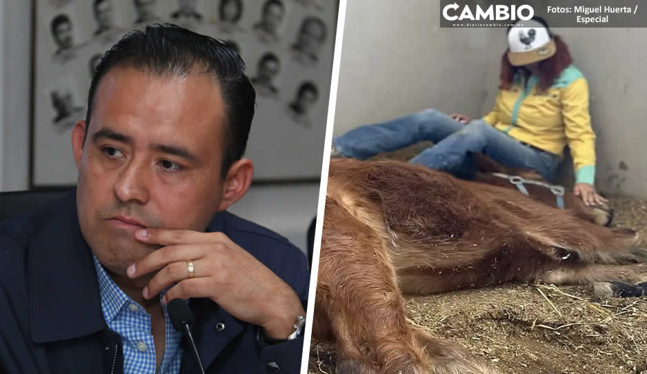 Aprueban en comisiones reformas para penalizar la zoofilia en Puebla