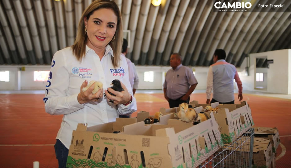Paola Angon entrega 100 Módulos Avícolas para impulsar la economía de las mujeres